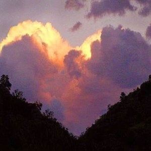 Meet your Posher, Zoop_